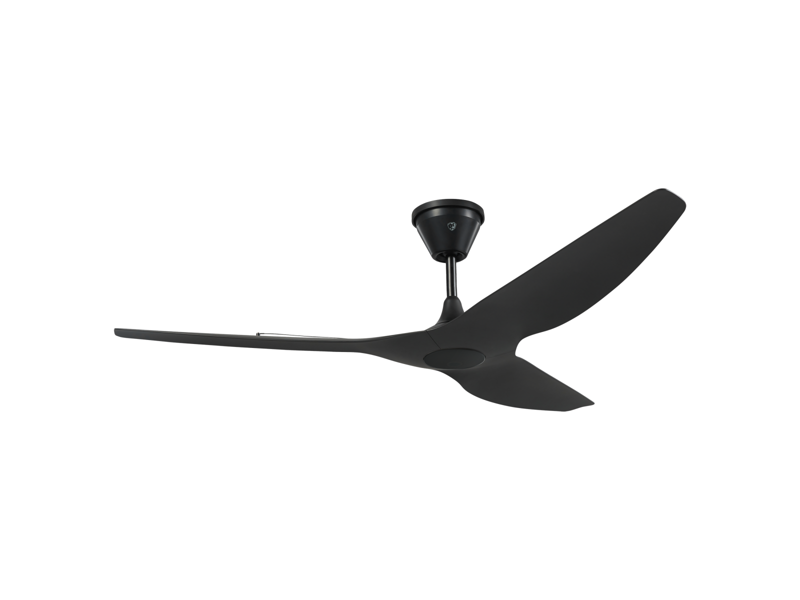 60" Haiku Coastal Outdoor Fan