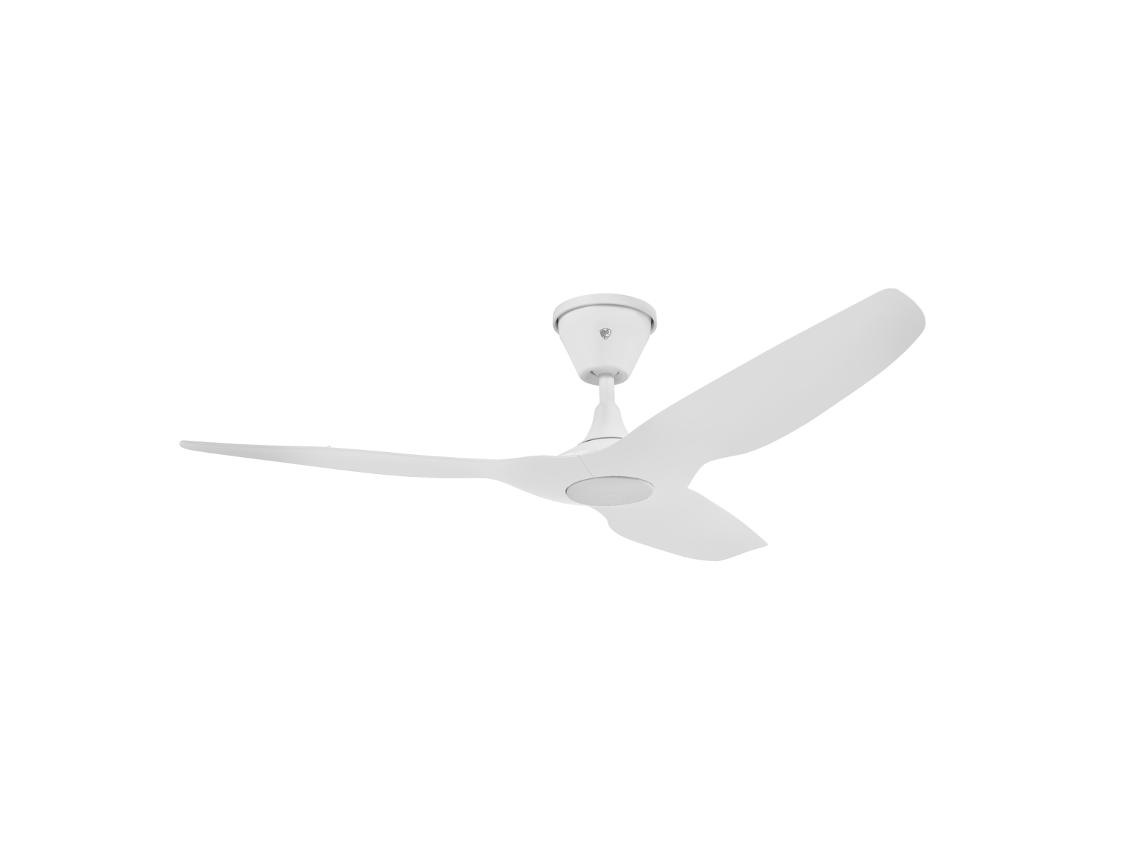 52" Haiku Coastal Outdoor Fan