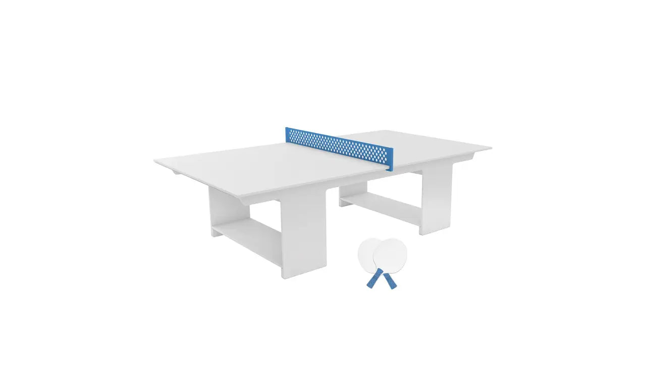 Ping Pong Table