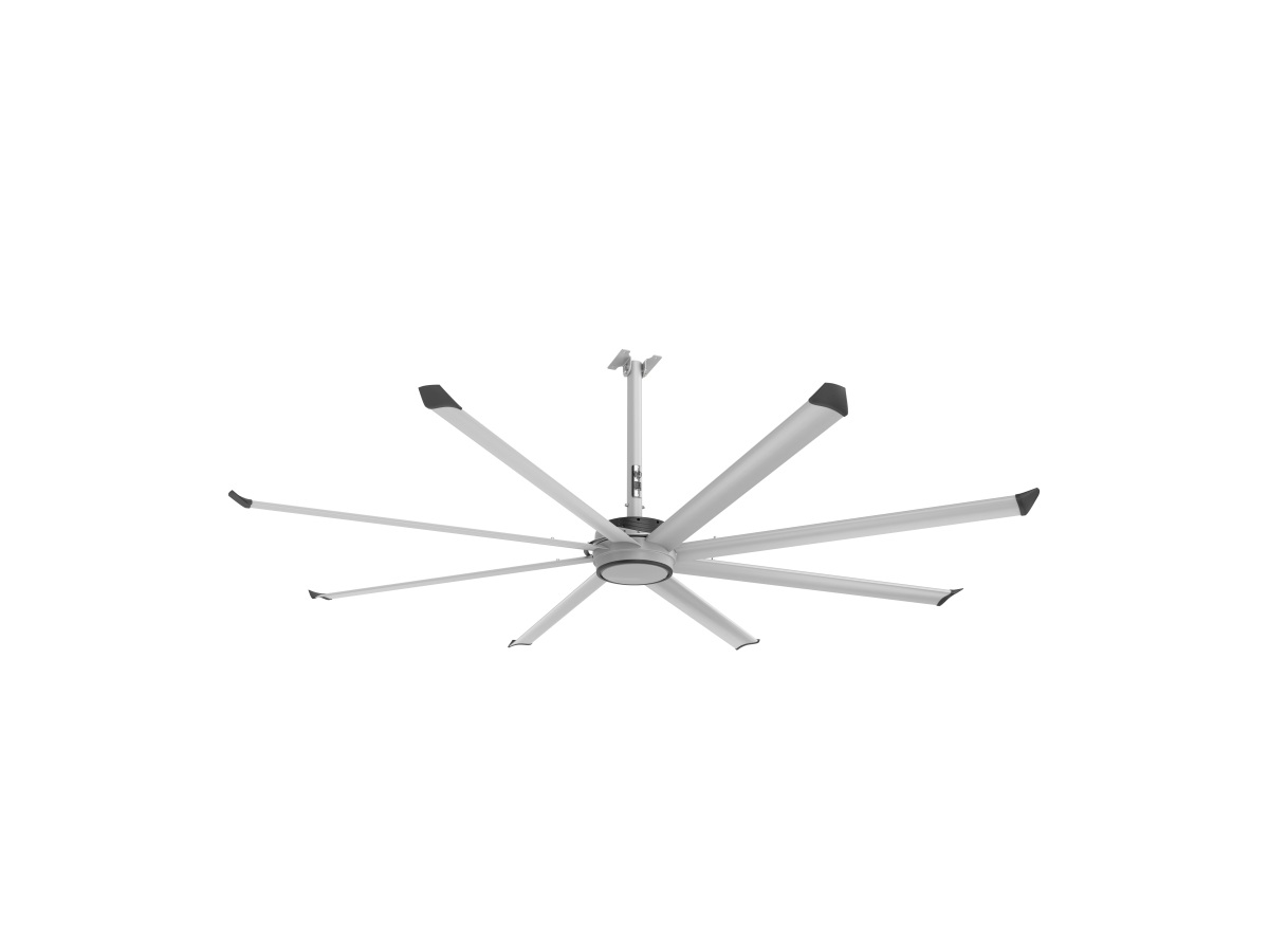 Essence Ceiling Fan