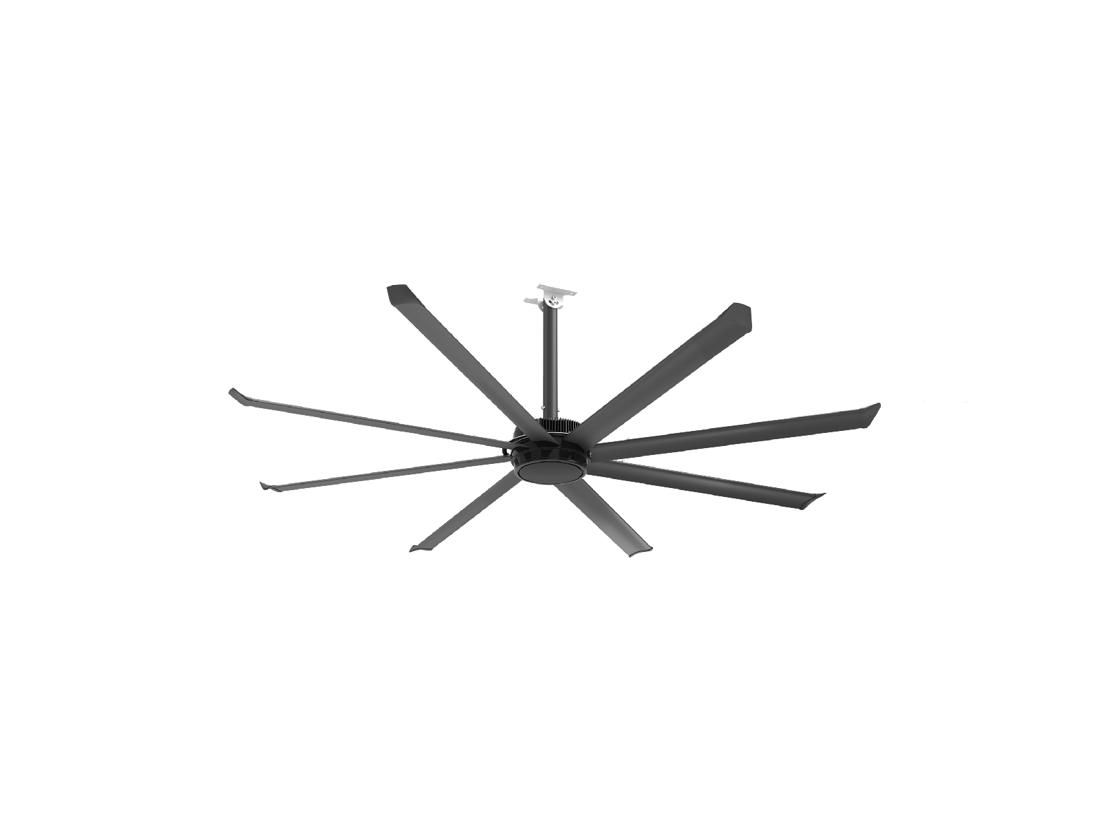 Essence Ceiling Fan